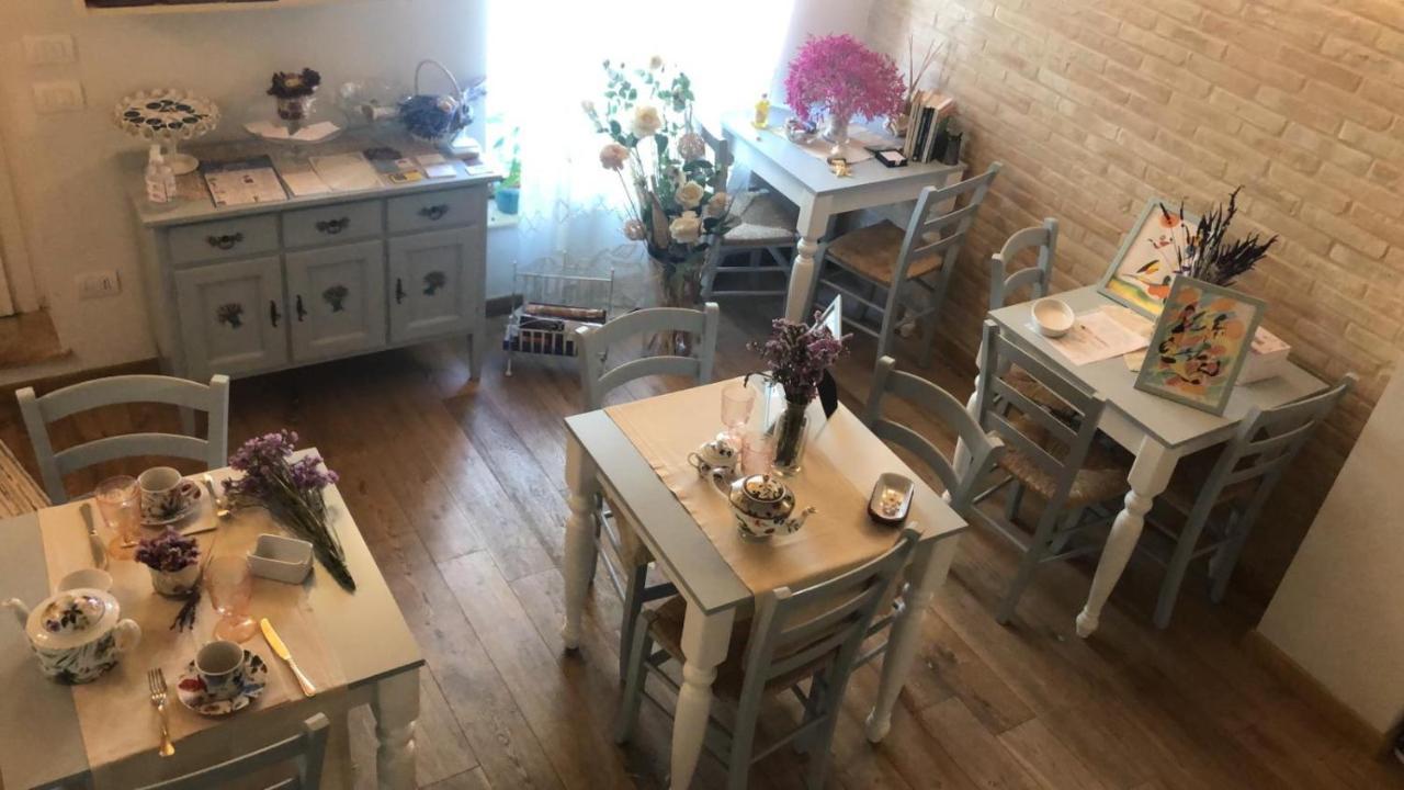 B&B Domar Civitanova Marche Bagian luar foto